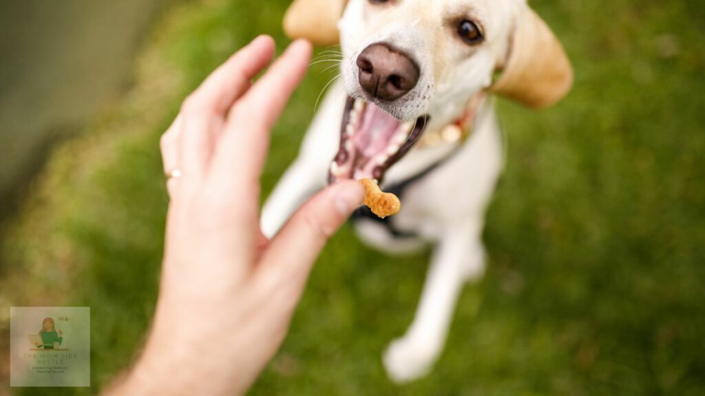 Bake Up Some Paw-sitivity Start a Pet Bakery