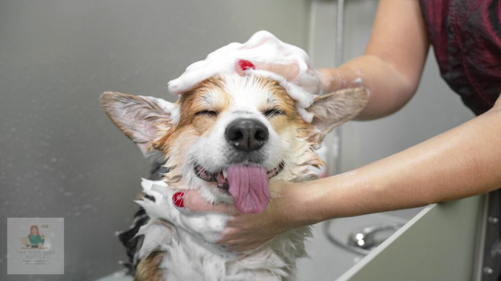 Pamper Those Pups Pet Grooming Services