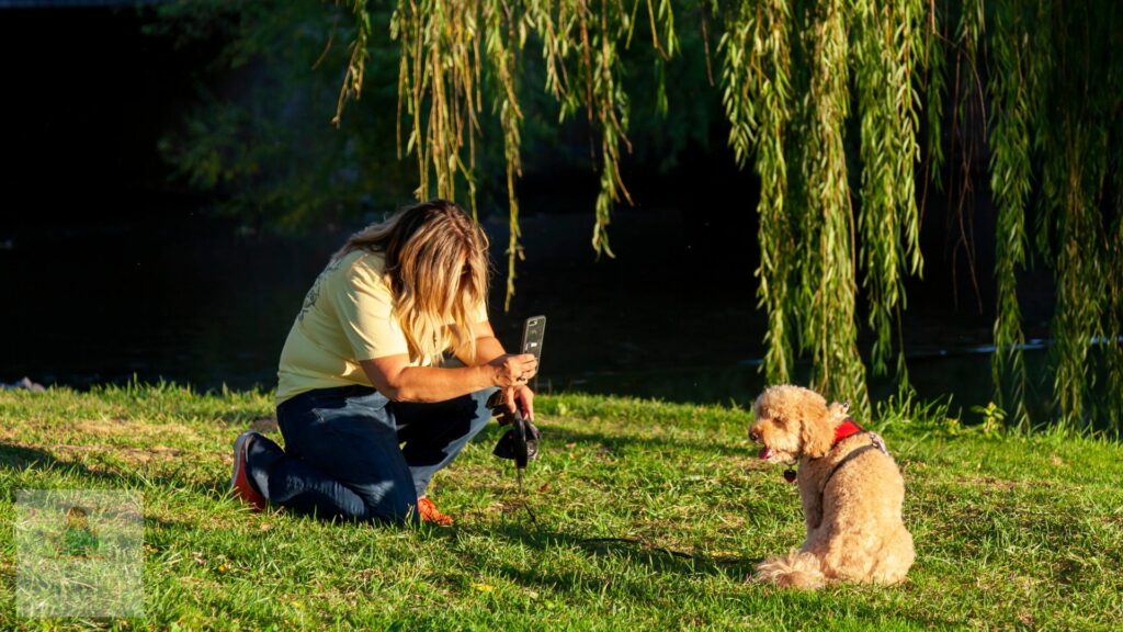 Picture Paw-fect Moments Pet Photography